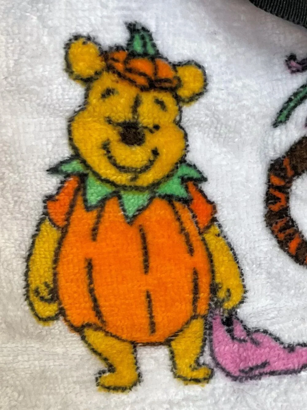 Disney Winnie The Pooh Fall Themed 2 Pack Hand Towels